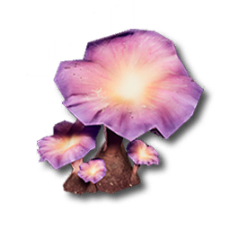 星門茸