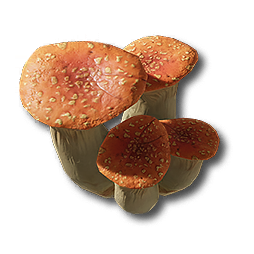 紅色茸